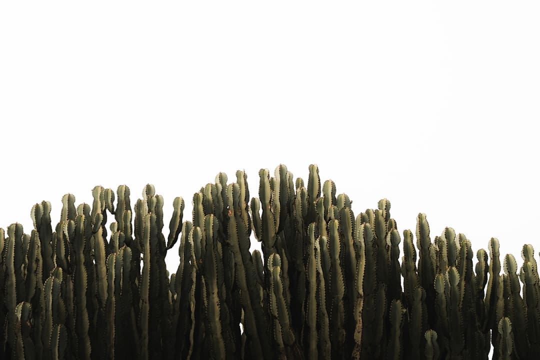 https://img3.utuku.imgcdc.com/650x0/news/20250905/0d210fad-8f2b-45dc-aee8-4ccb5d38ae74.jpg